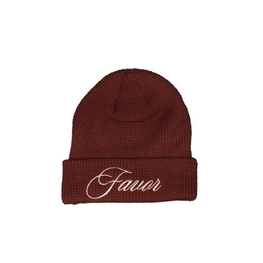 Favor Winter Beanie